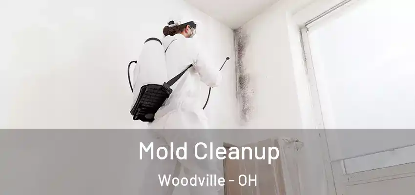  Mold Cleanup Woodville - OH