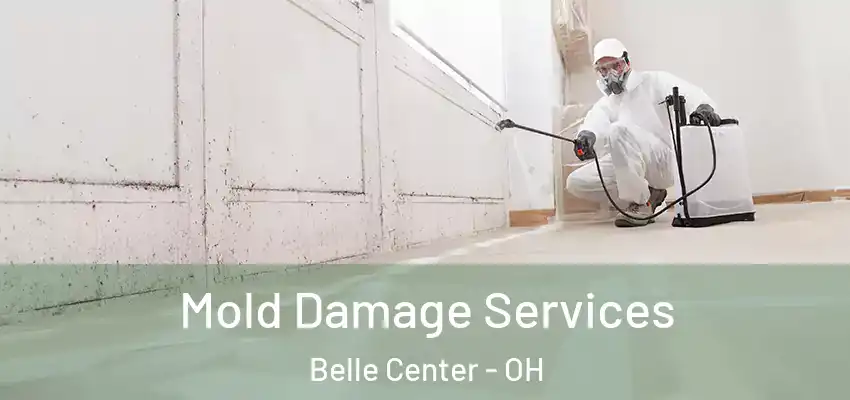  Mold Damage Services Belle Center - OH