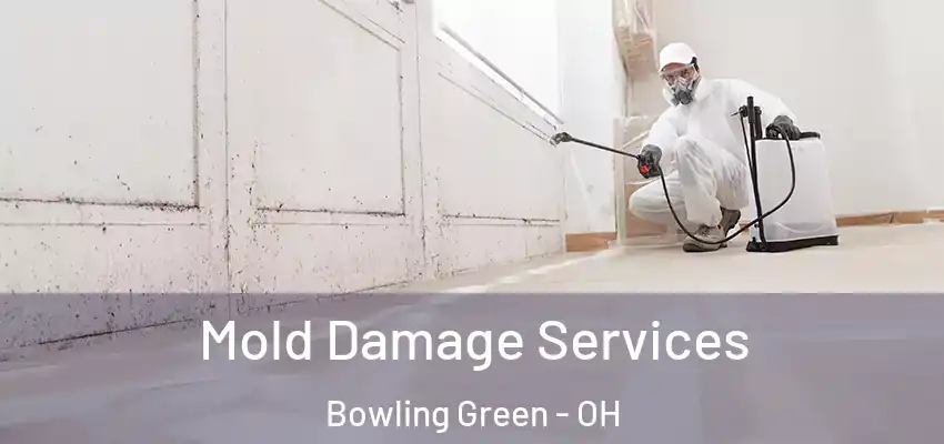  Mold Damage Services Bowling Green - OH