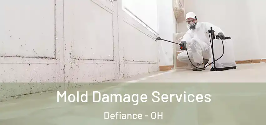  Mold Damage Services Defiance - OH