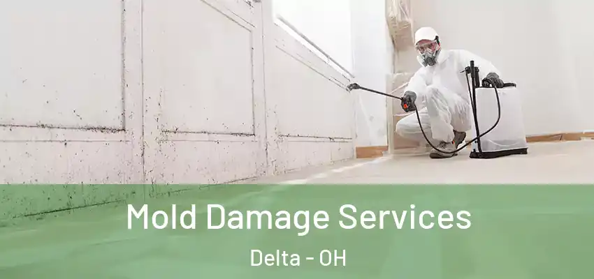  Mold Damage Services Delta - OH