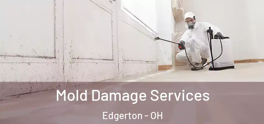  Mold Damage Services Edgerton - OH