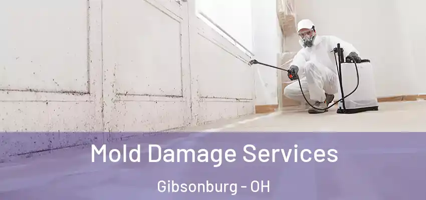  Mold Damage Services Gibsonburg - OH
