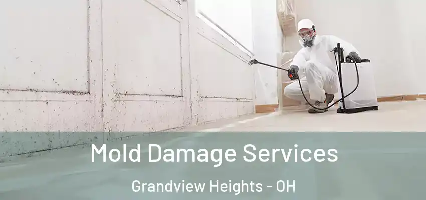  Mold Damage Services Grandview Heights - OH