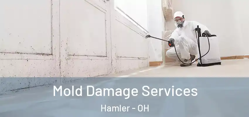  Mold Damage Services Hamler - OH