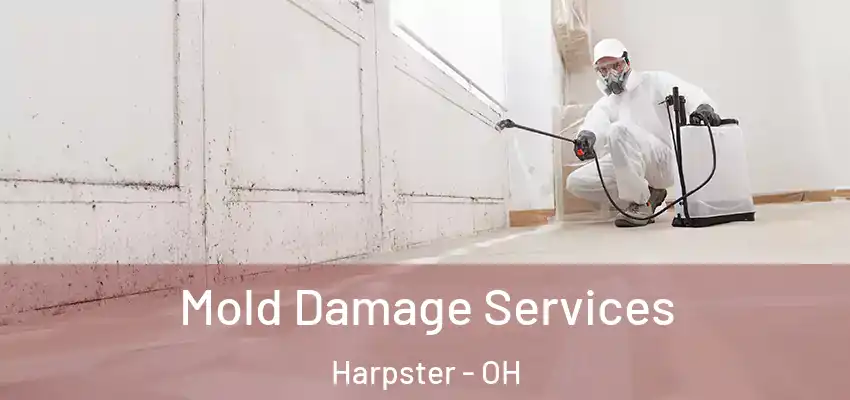  Mold Damage Services Harpster - OH