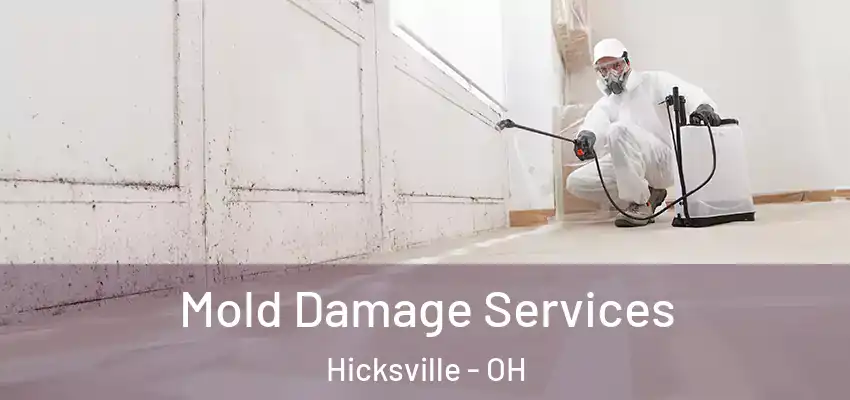  Mold Damage Services Hicksville - OH
