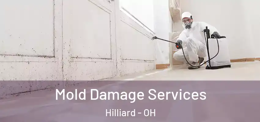  Mold Damage Services Hilliard - OH