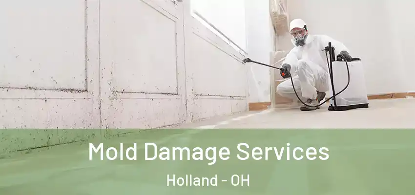  Mold Damage Services Holland - OH