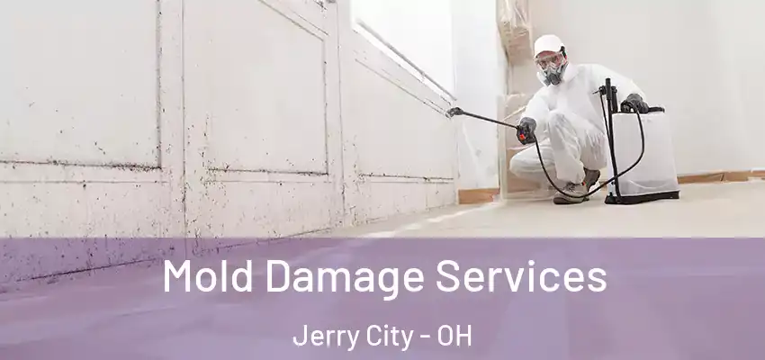  Mold Damage Services Jerry City - OH