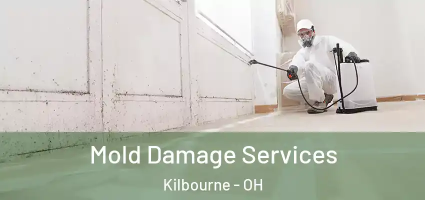 Mold Damage Services Kilbourne - OH