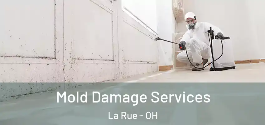  Mold Damage Services La Rue - OH