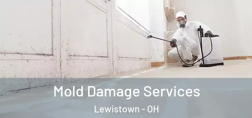 Mold Damage Services Lewistown - OH