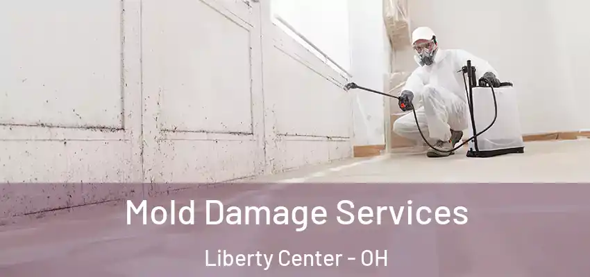  Mold Damage Services Liberty Center - OH