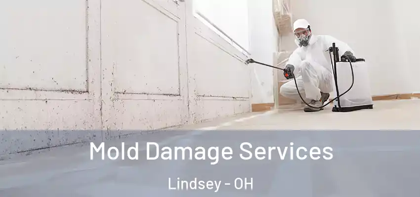  Mold Damage Services Lindsey - OH