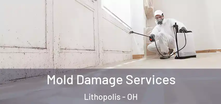  Mold Damage Services Lithopolis - OH
