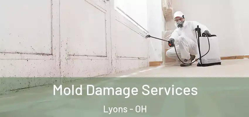  Mold Damage Services Lyons - OH