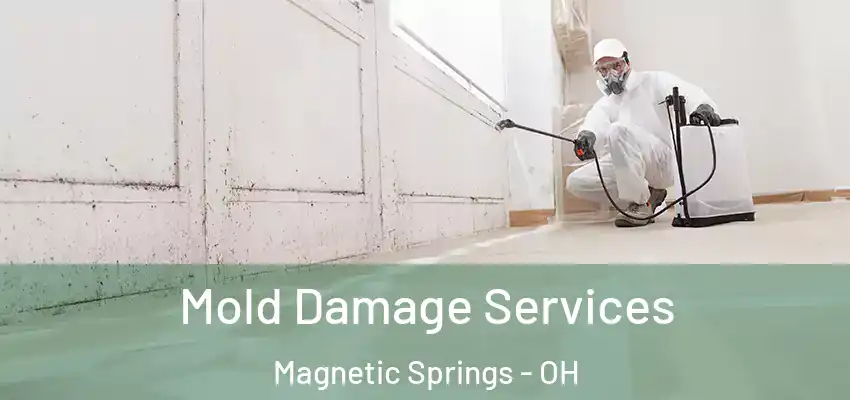  Mold Damage Services Magnetic Springs - OH
