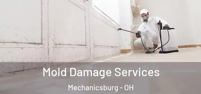  Mold Damage Services Mechanicsburg - OH