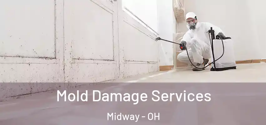  Mold Damage Services Midway - OH