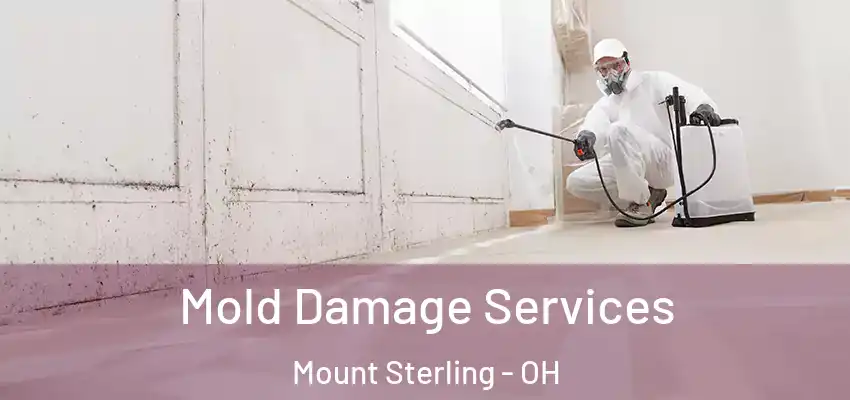  Mold Damage Services Mount Sterling - OH