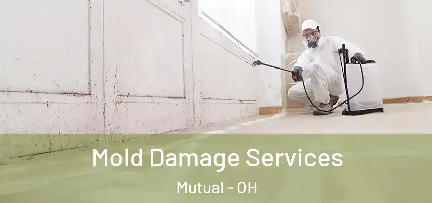  Mold Damage Services Mutual - OH