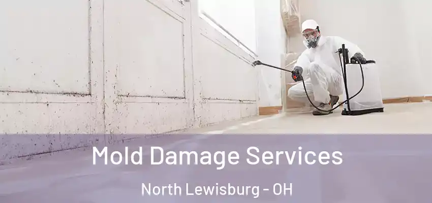  Mold Damage Services North Lewisburg - OH