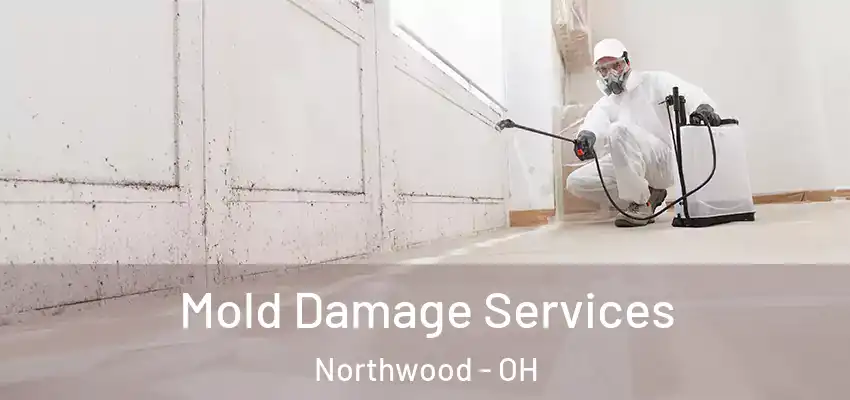  Mold Damage Services Northwood - OH