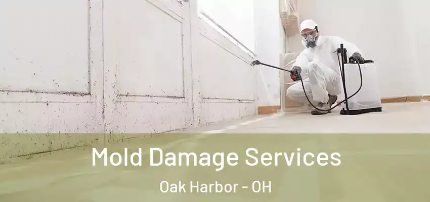  Mold Damage Services Oak Harbor - OH