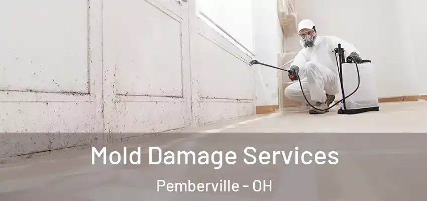  Mold Damage Services Pemberville - OH