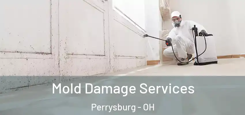  Mold Damage Services Perrysburg - OH