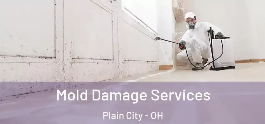  Mold Damage Services Plain City - OH