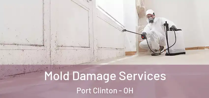  Mold Damage Services Port Clinton - OH