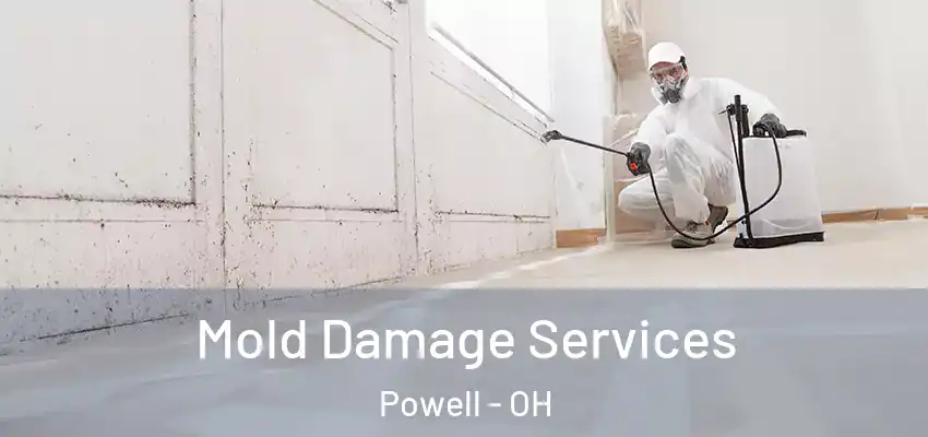  Mold Damage Services Powell - OH