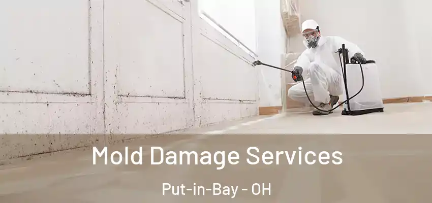  Mold Damage Services Put-in-Bay - OH