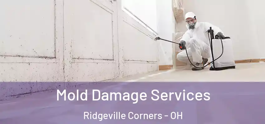  Mold Damage Services Ridgeville Corners - OH