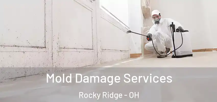  Mold Damage Services Rocky Ridge - OH