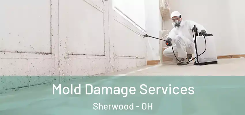  Mold Damage Services Sherwood - OH