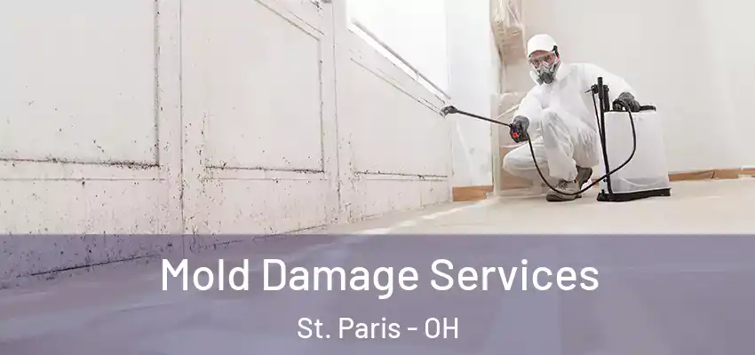  Mold Damage Services St. Paris - OH