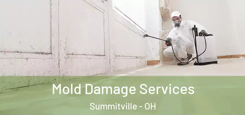  Mold Damage Services Summitville - OH