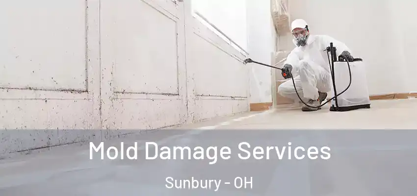  Mold Damage Services Sunbury - OH