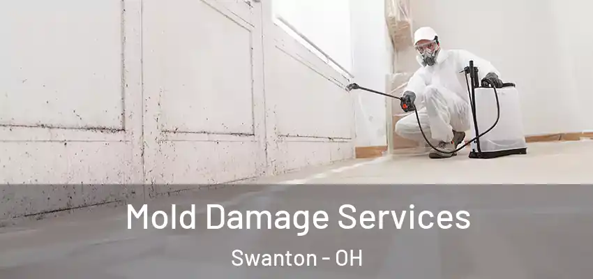  Mold Damage Services Swanton - OH