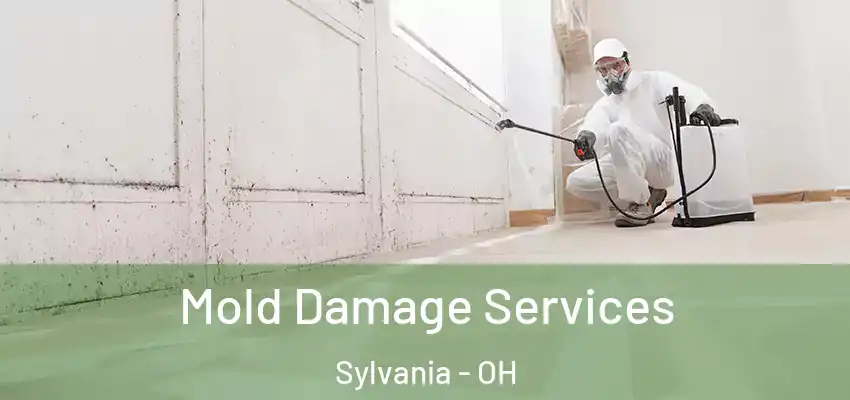  Mold Damage Services Sylvania - OH