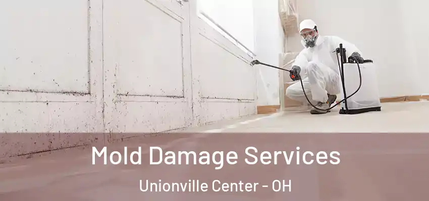  Mold Damage Services Unionville Center - OH