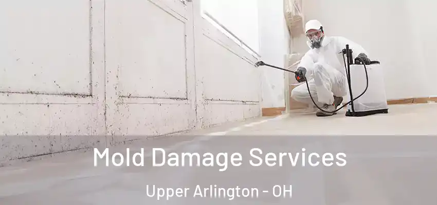  Mold Damage Services Upper Arlington - OH