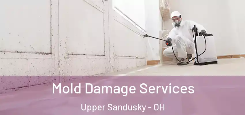  Mold Damage Services Upper Sandusky - OH
