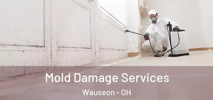  Mold Damage Services Wauseon - OH