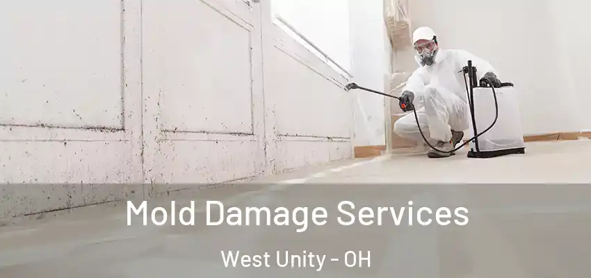  Mold Damage Services West Unity - OH