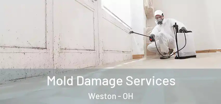  Mold Damage Services Weston - OH