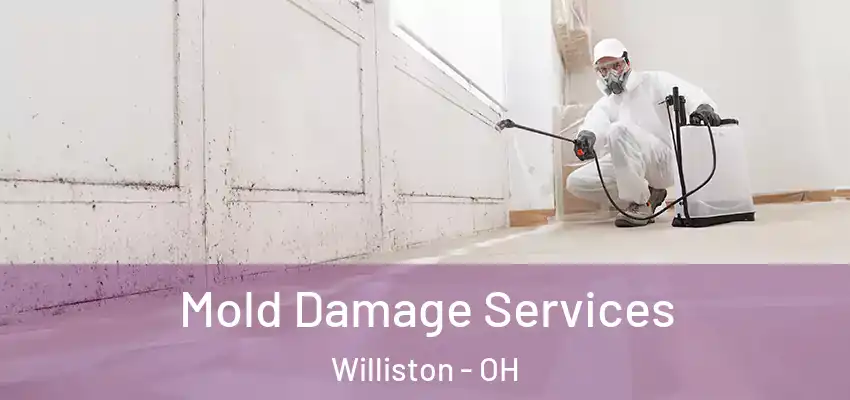  Mold Damage Services Williston - OH